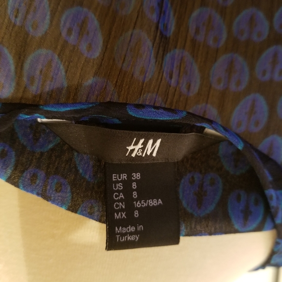 H&M Sheer Blouse - Picture 7 of 8